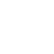 RISE Robotics